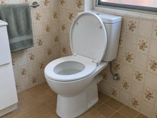 Clean white toilet in a tiled bathroom with the seat up and water visible in the bowl in Brookvale